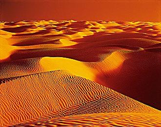 《如龙》夜店女郎演员面试现场照 性感女星参加试镜